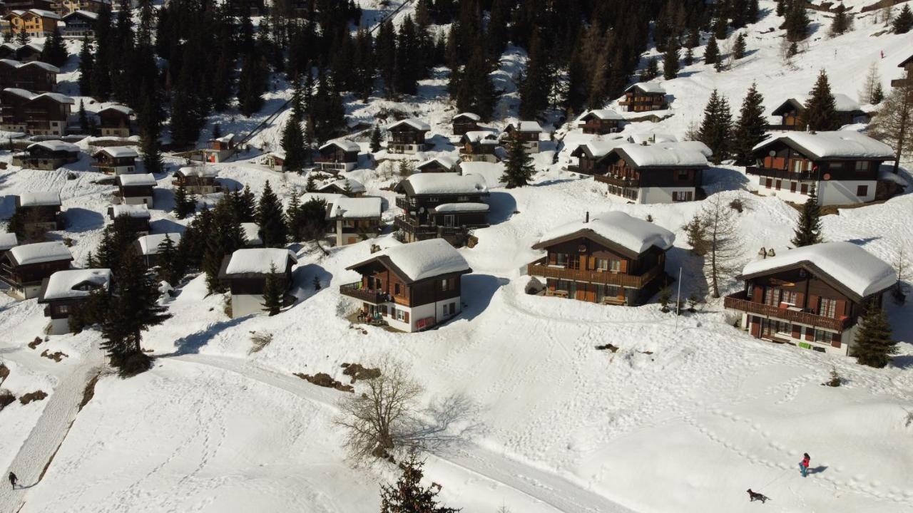 Chalet Foresta Bettmeralp Exteriör bild