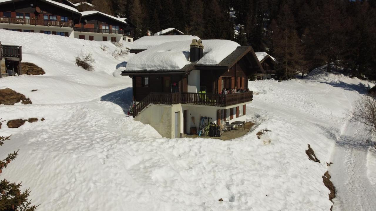 Chalet Foresta Bettmeralp Exteriör bild