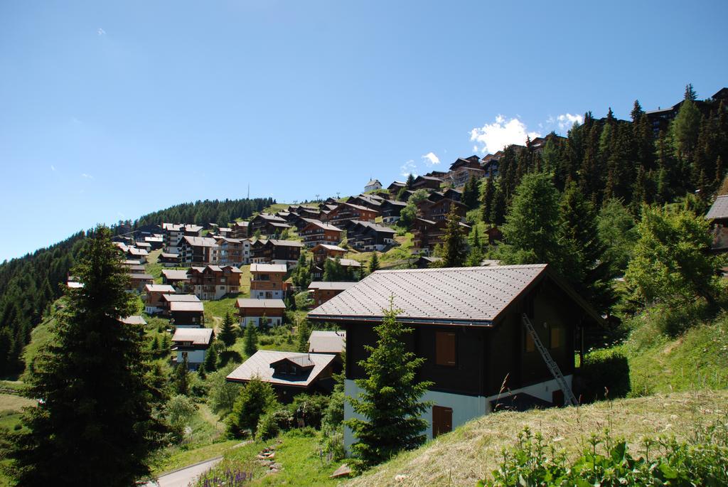 Chalet Foresta Bettmeralp Exteriör bild