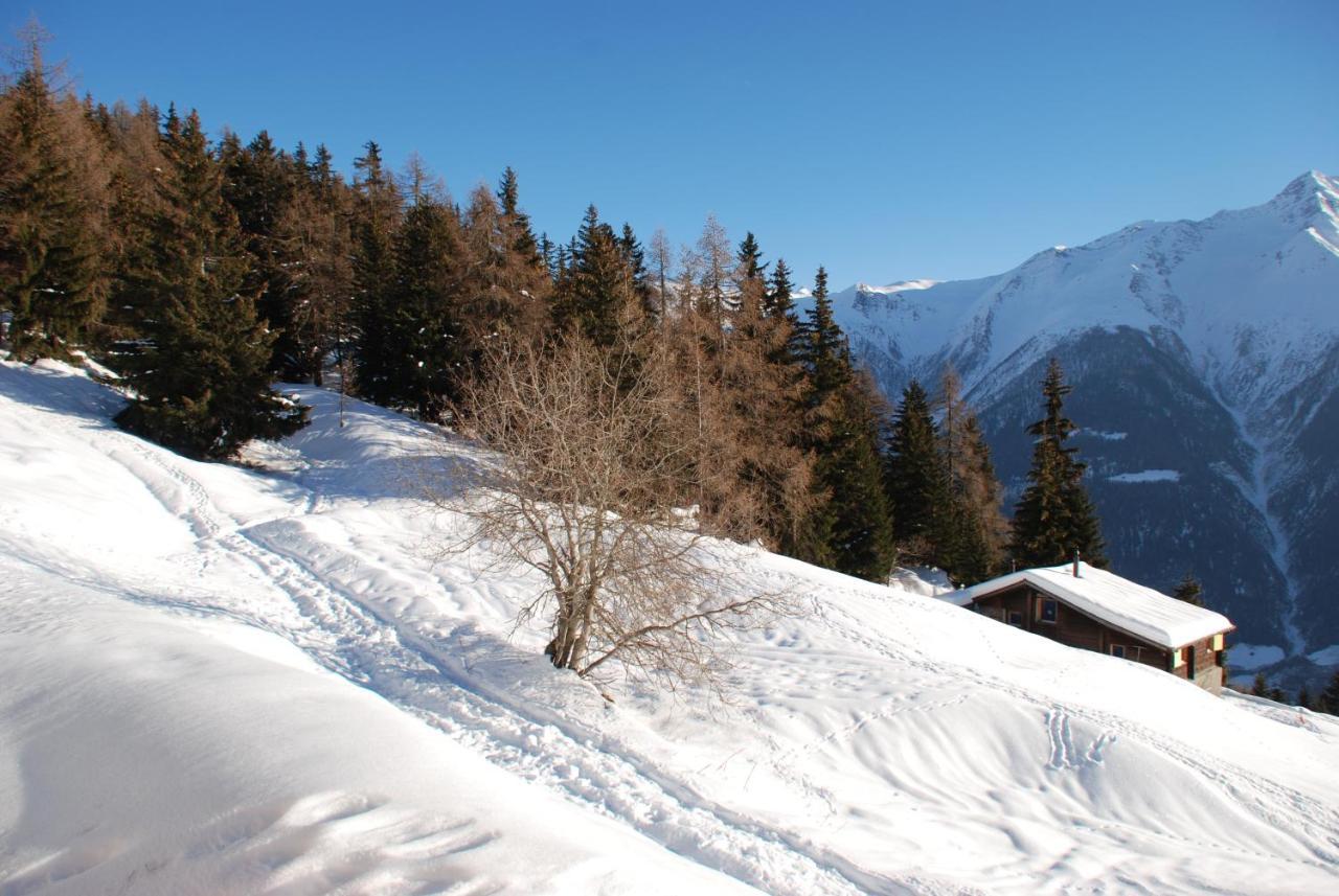 Chalet Foresta Bettmeralp Exteriör bild